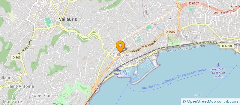 localisation de l'entreprise MONSIEUR ARMANDINO GOMES à VALLAURIS