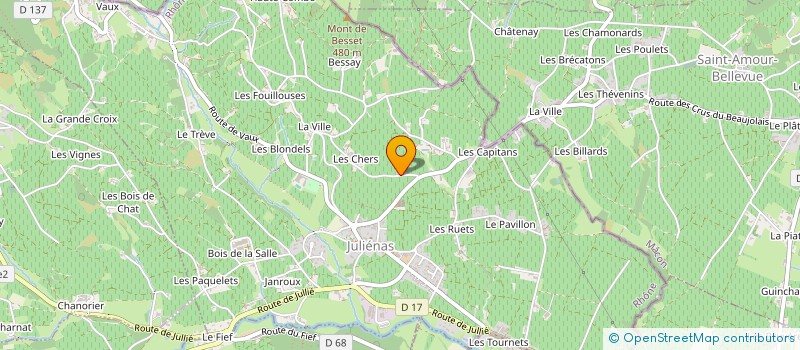 localisation de l'entreprise MONSIEUR ARNAUD BRIDAY à JULIENAS