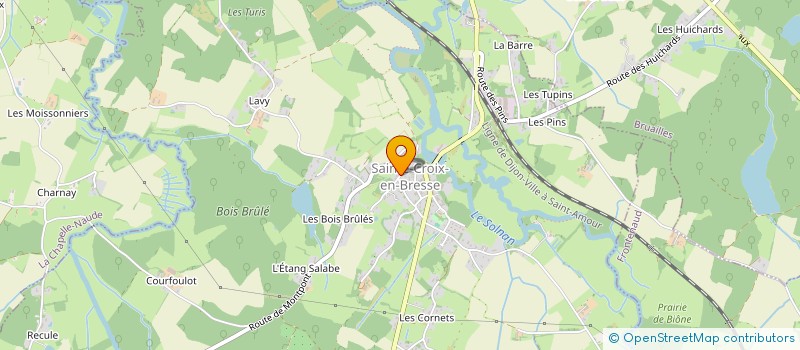 localisation de l'entreprise MONSIEUR ARNAUD DUMONT  SAINTE-CROIX-EN-BRESSE