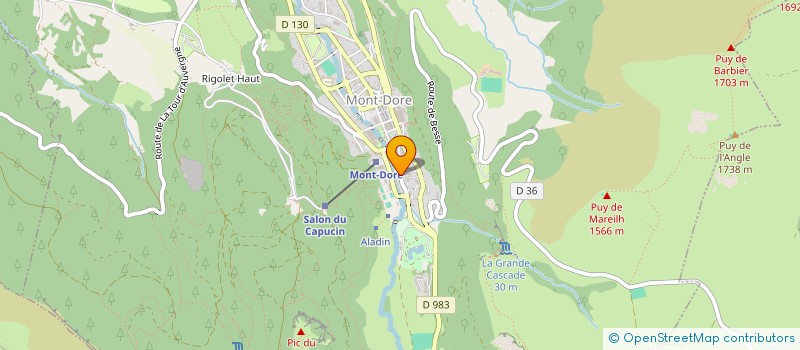 localisation de l'entreprise MONSIEUR ARNAUD LEBEAU  MONT-DORE