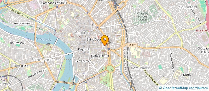 localisation de l'entreprise MONSIEUR ARNAUD MALIK  TOULOUSE