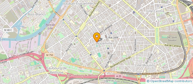 localisation de l'entreprise MONSIEUR ARNAUD RACHEZ à LILLE