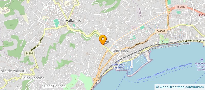 localisation de l'entreprise MONSIEUR ARNAUD-SIAN RONNINGEN  VALLAURIS