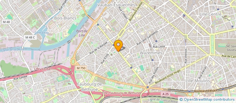 localisation de l'entreprise MONSIEUR ARNAUD VAN VLIET  LILLE