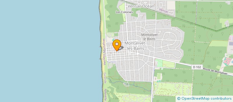 localisation de l'entreprise MONSIEUR ARNAUD VISCHI  VENDAYS-MONTALIVET