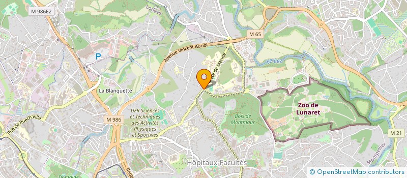 localisation de l'entreprise MONSIEUR ARNOLD THEISSEN à MONTPELLIER