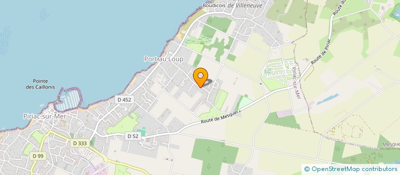 localisation de l'entreprise MONSIEUR ARSEN GASCOIN  PIRIAC-SUR-MER