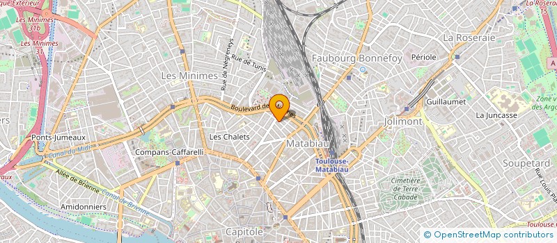 localisation de l'entreprise MONSIEUR ARSENE BIONDI  TOULOUSE