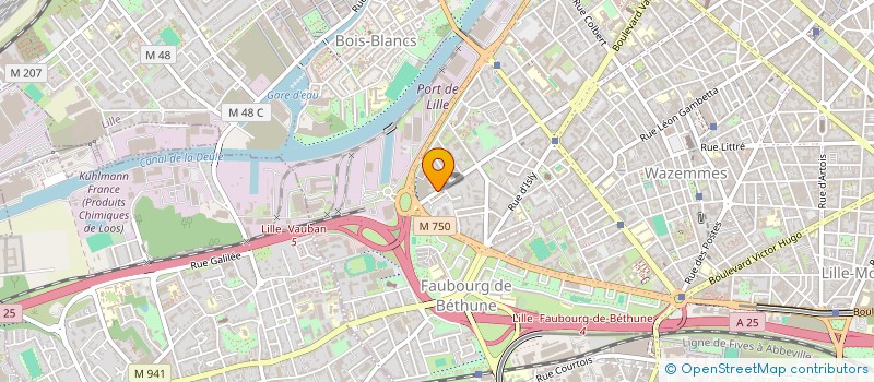 localisation de l'entreprise MONSIEUR ARSENIY SABANIEEV à LILLE