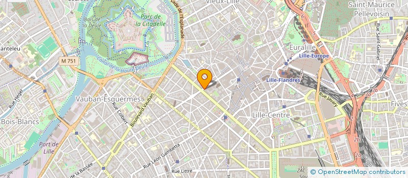 localisation de l'entreprise MONSIEUR ARTHUR BE  LILLE