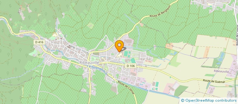 localisation de l'entreprise MONSIEUR ARTHUR FALLER  RIBEAUVILLE