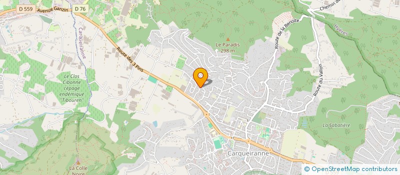 localisation de l'entreprise MONSIEUR ARTHUR GUILLOU  CARQUEIRANNE