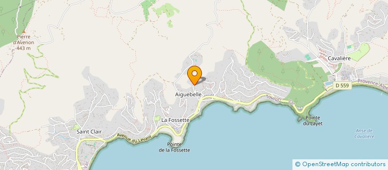 localisation de l'entreprise MONSIEUR ARTHUR KOPEC à LE LAVANDOU