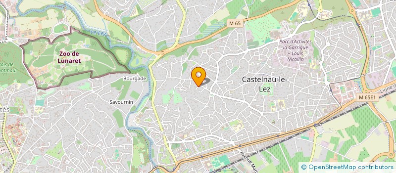 localisation de l'entreprise MONSIEUR ARTHUR LEHMANN à CASTELNAU-LE-LEZ