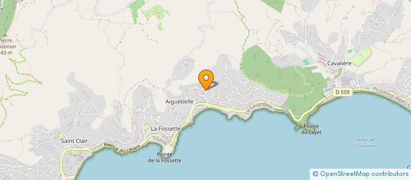 localisation de l'entreprise MONSIEUR ARTHUR LITROWSKI à LE LAVANDOU