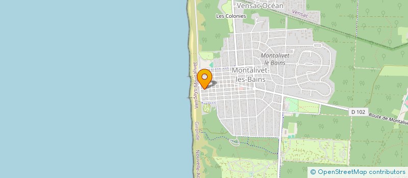 localisation de l'entreprise MONSIEUR ARTHUR MARIDAT  VENDAYS-MONTALIVET
