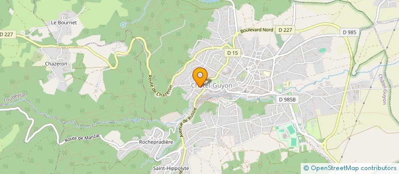 localisation de l'entreprise MONSIEUR ARTHUR MARTINS-CONDE  CHATEL-GUYON