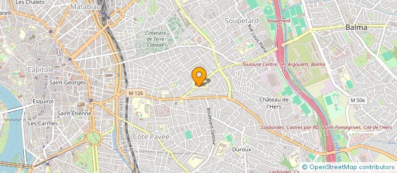 localisation de l'entreprise MONSIEUR ARTHUR MOLENAT à TOULOUSE