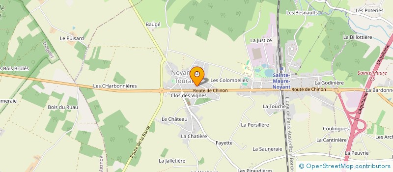 localisation de l'entreprise MONSIEUR ARTHUR OLIVIER  NOYANT-DE-TOURAINE