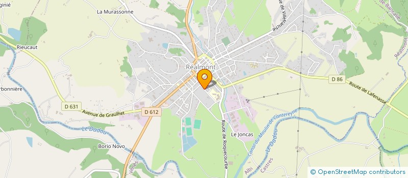 localisation de l'entreprise MONSIEUR ARTHUR RAYMOND  REALMONT