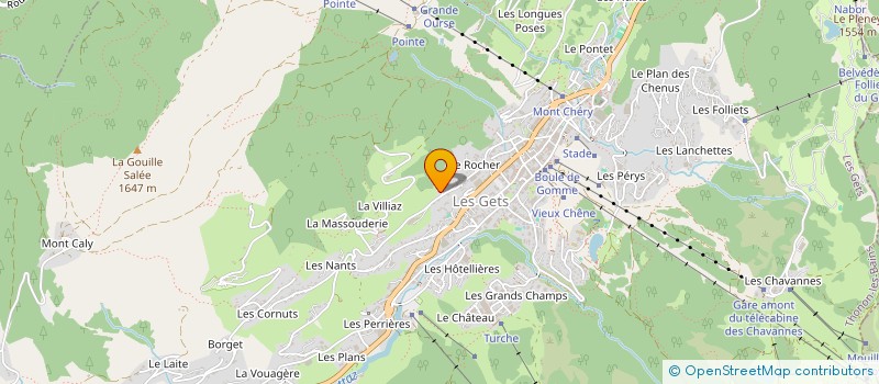 localisation de l'entreprise MONSIEUR ASAD NOORANI  LES GETS