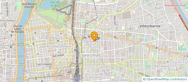 localisation de l'entreprise MONSIEUR ASANE ALLEL  VILLEURBANNE