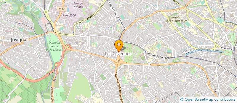 localisation de l'entreprise MONSIEUR ASATUR MOVSISYAN à MONTPELLIER
