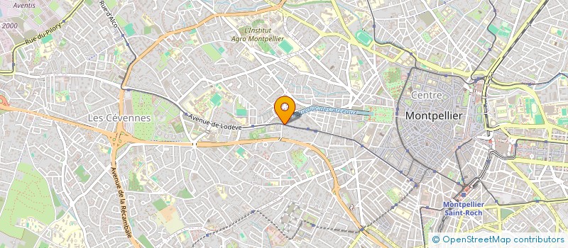 localisation de l'entreprise MONSIEUR ASIM BINGOL à MONTPELLIER