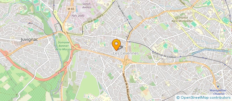 localisation de l'entreprise MONSIEUR ASSA DULLAH YOUSSEFZAI à MONTPELLIER