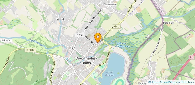 localisation de l'entreprise MONSIEUR ASSAN TORUN à DIVONNE-LES-BAINS