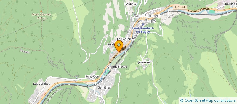 localisation de l'entreprise MONSIEUR ASSANE FAYE  SAINT-RAMBERT-EN-BUGEY