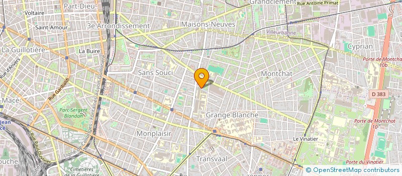 localisation de l'entreprise MONSIEUR ASSANE NDIAYE  LYON