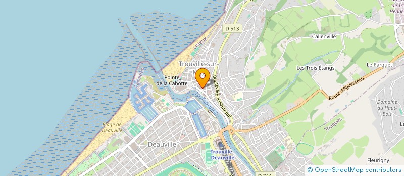 localisation de l'entreprise MONSIEUR ATANAS KOUTREV  TROUVILLE-SUR-MER