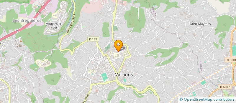 localisation de l'entreprise MONSIEUR ATEF OUESLATI  VALLAURIS