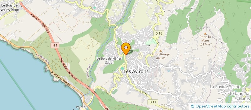 localisation de l'entreprise MONSIEUR AUDRIC EUPHRASIE  LES AVIRONS