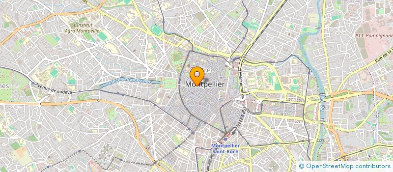 localisation de l'entreprise MONSIEUR AUGUST MENDY à MONTPELLIER
