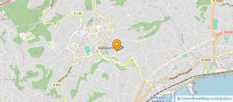 localisation de l'entreprise MONSIEUR AUGUSTE ROSSI  VALLAURIS