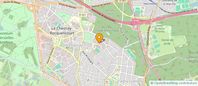 localisation de l'entreprise MONSIEUR AUGUSTIN NEAM  LE CHESNAY-ROCQUENCOURT