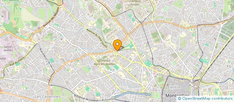localisation de l'entreprise MONSIEUR AUGUSTIN NICOULIN à MONTPELLIER