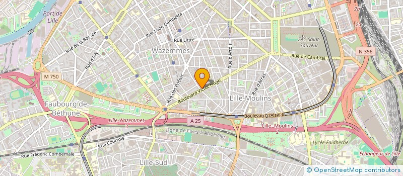 localisation de l'entreprise MONSIEUR AUGUSTIN VIARD  LILLE