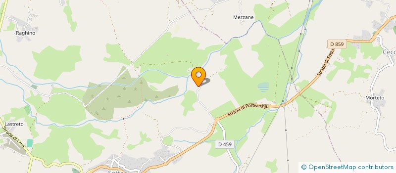 localisation de l'entreprise MONSIEUR AUREL RUSU  SOTTA