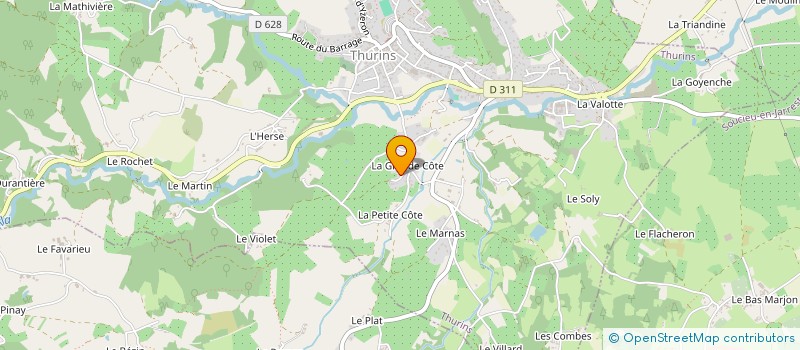 localisation de l'entreprise MONSIEUR AURELIEN CLAVEL  THURINS