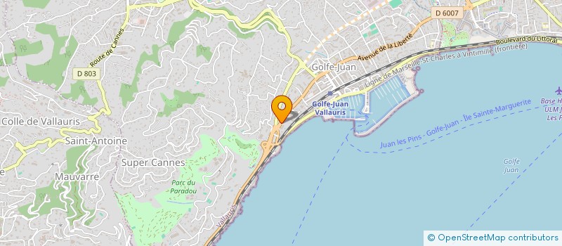 localisation de l'entreprise MONSIEUR AURELIEN DORIGNE  VALLAURIS