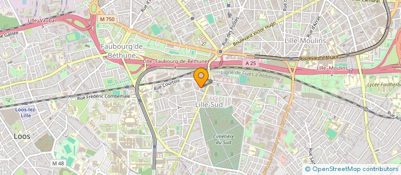 localisation de l'entreprise MONSIEUR AURELIEN DUTHOIT à LILLE
