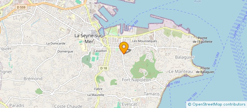 localisation de l'entreprise MONSIEUR AURELIEN RETTELER à LA SEYNE-SUR-MER