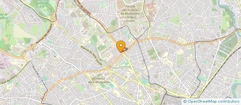 localisation de l'entreprise MONSIEUR AURELIEN RONCERAY  MONTPELLIER