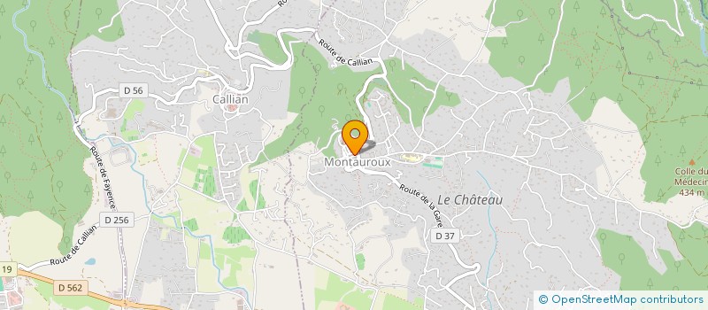 localisation de l'entreprise MONSIEUR AURELIEN SA OLIVEIRA  MONTAUROUX