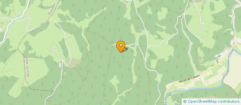 localisation de l'entreprise MONSIEUR AURELIEN SALOMON  SAULIAC-SUR-CELE