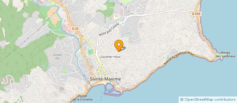 localisation de l'entreprise MONSIEUR AVELINO DE FONTES PAIVA à SAINTE-MAXIME