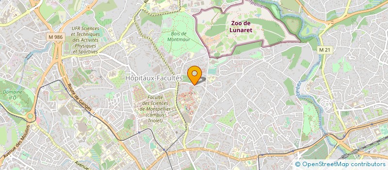 localisation de l'entreprise MONSIEUR AVOTRINIAINA RAJAOARISON à MONTPELLIER